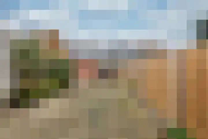 Kwartelweide 47 Houten thumbnail 16
