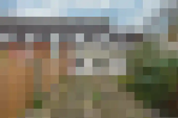Kwartelweide 47 Houten thumbnail 19