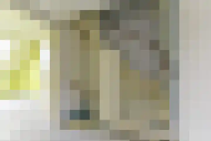 Kwartelweide 47 Houten thumbnail 29