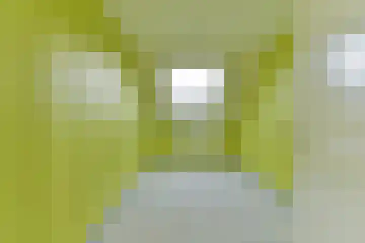 Kwartelweide 47 Houten thumbnail 30