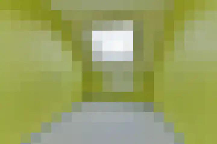 Kwartelweide 47 Houten thumbnail 31