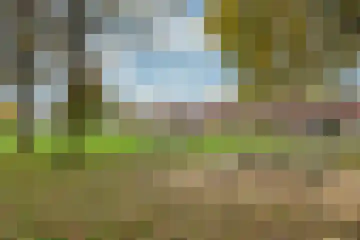 Kwartelweide 47 Houten thumbnail 36