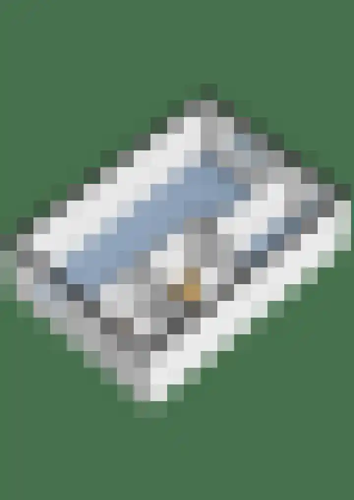 Kwartelweide 47 Houten thumbnail 38