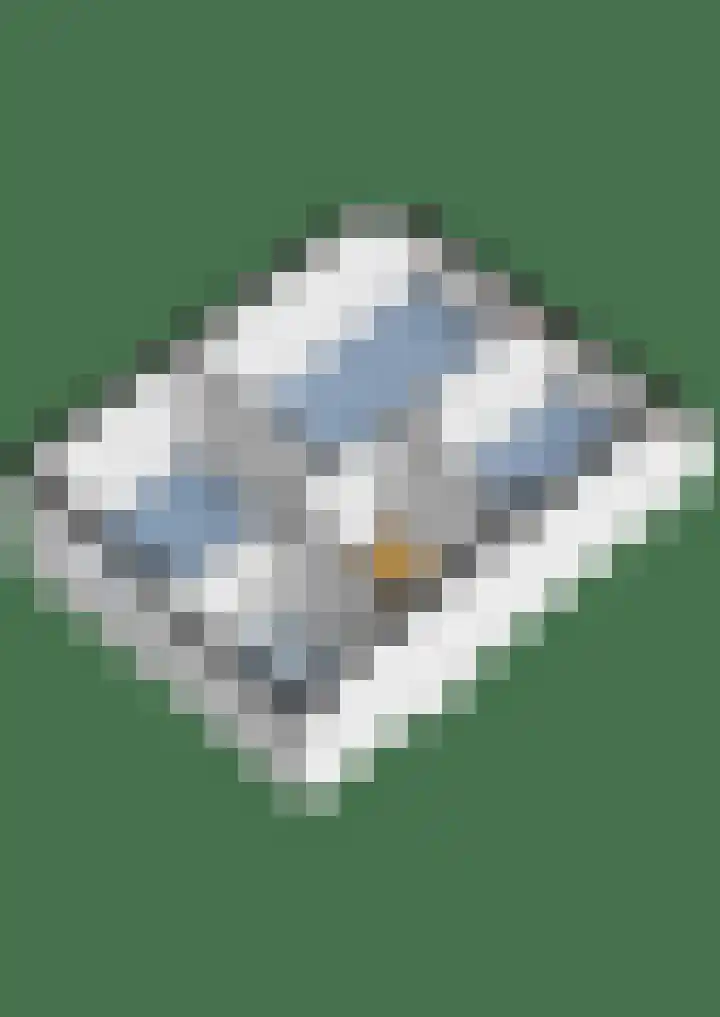Kwartelweide 47 Houten thumbnail 42