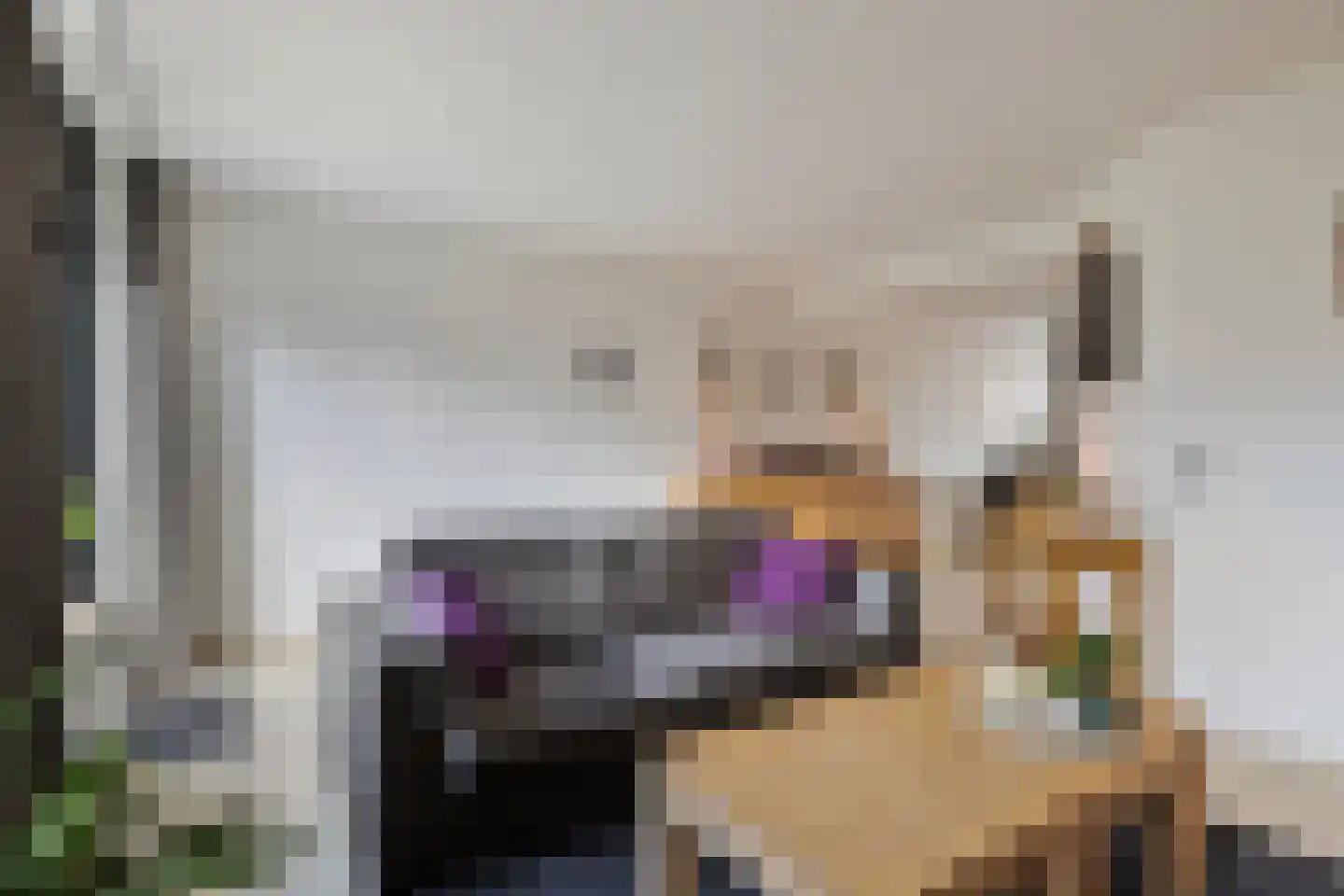 Kwartier 14 Steenbergen thumbnail 11