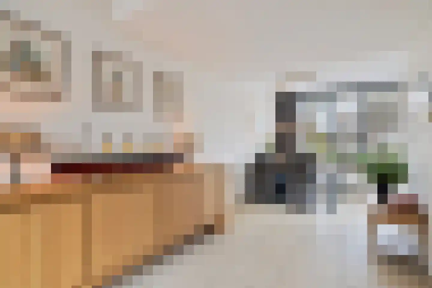 Kwartier 14 Steenbergen thumbnail 12