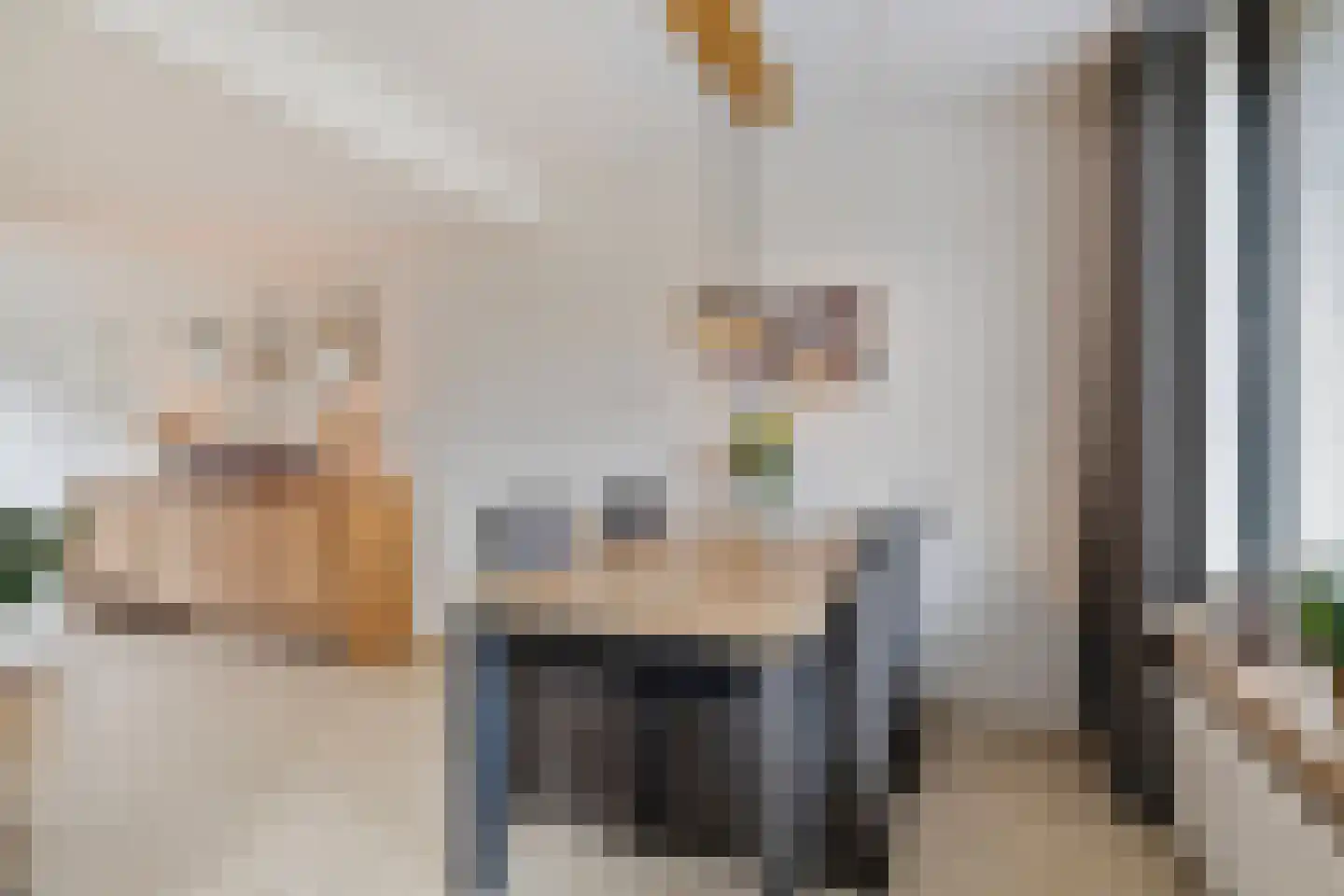 Kwartier 14 Steenbergen thumbnail 16