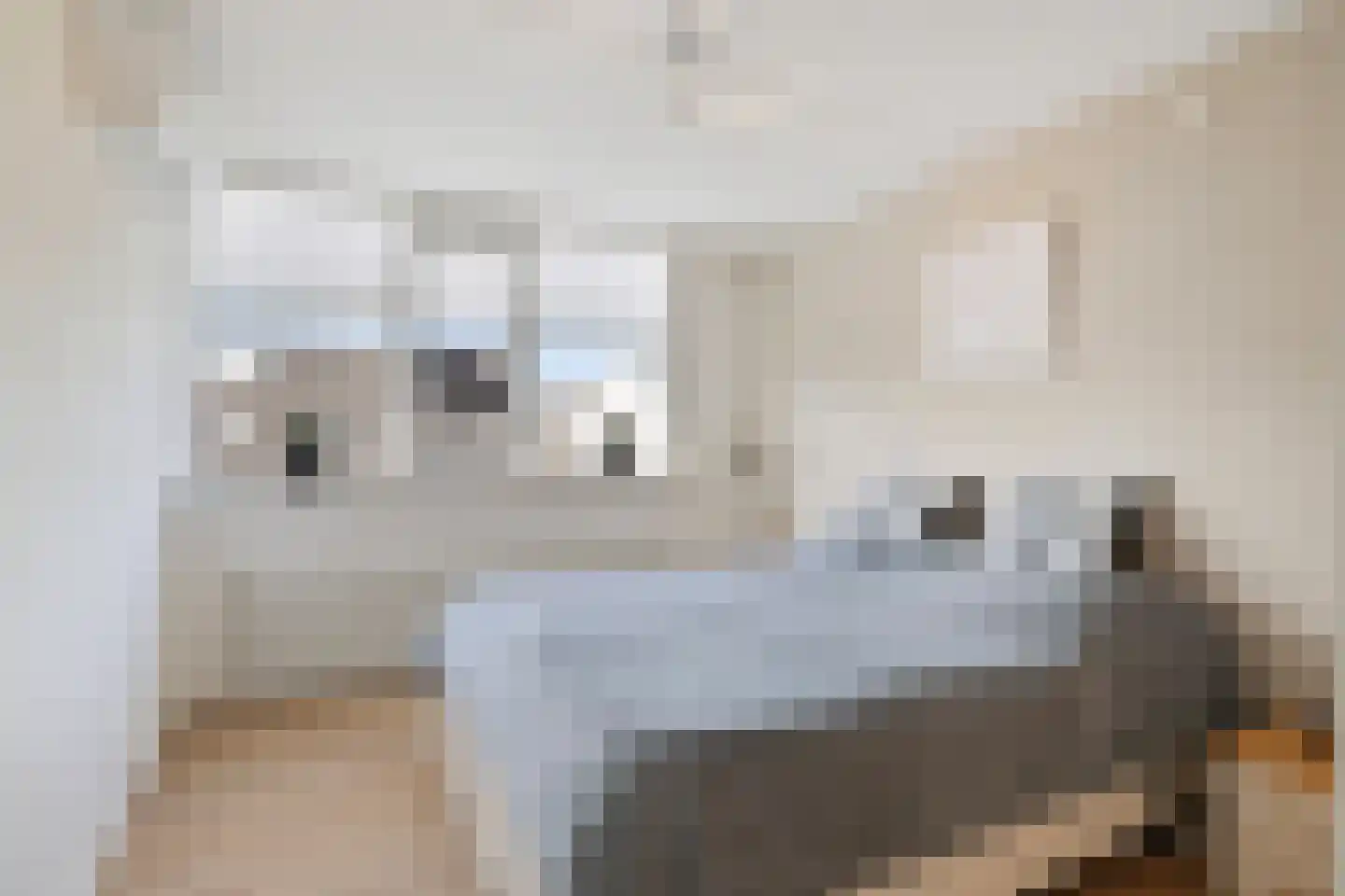 Kwartier 14 Steenbergen thumbnail 23