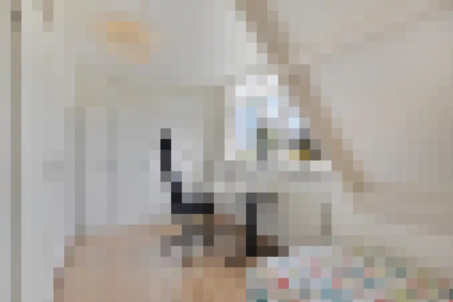 Kwartier 14 Steenbergen thumbnail 29