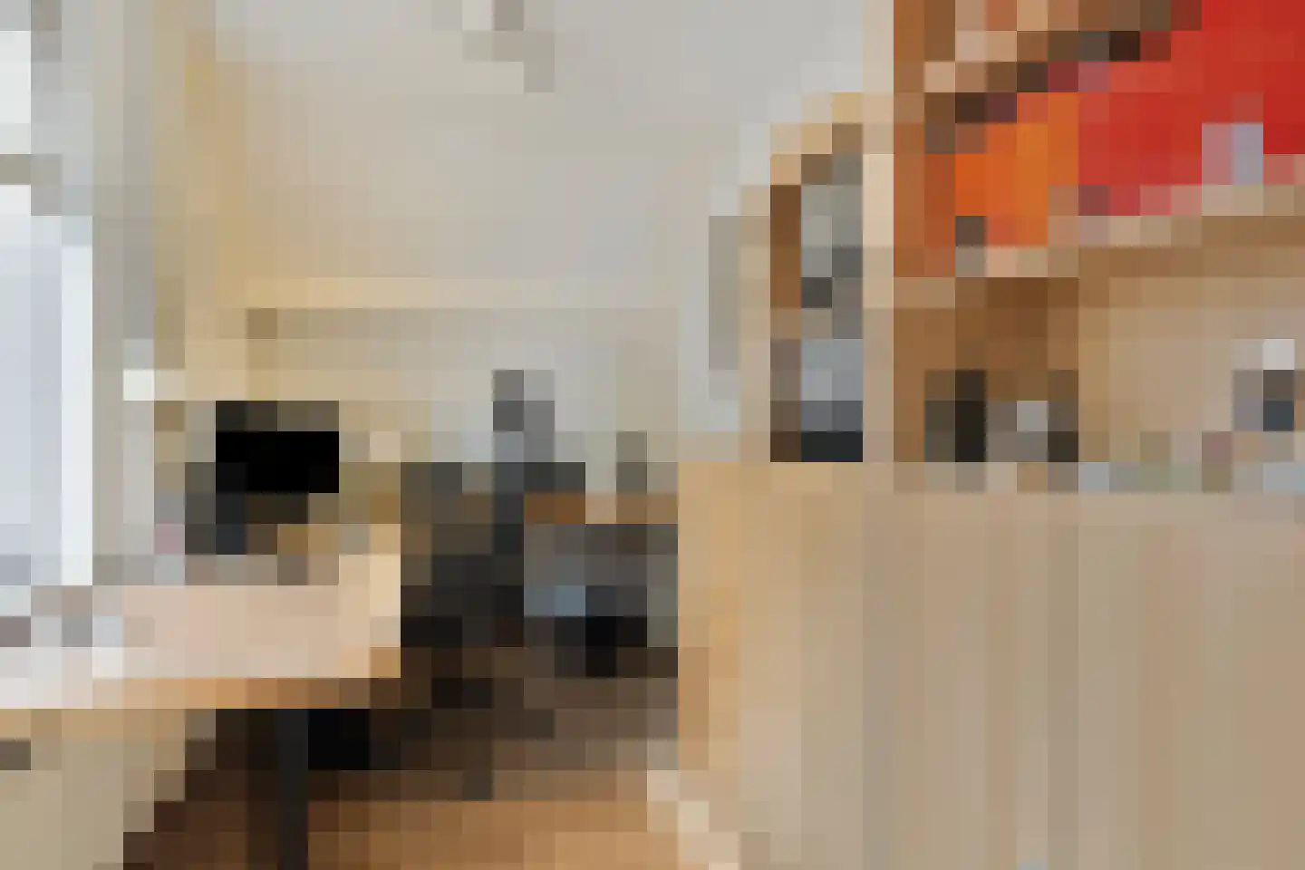 Kwartier 14 Steenbergen thumbnail 31