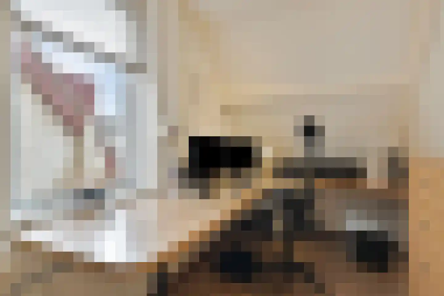 Kwartier 14 Steenbergen thumbnail 32