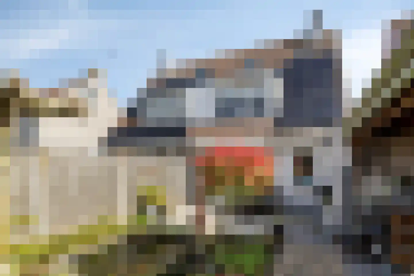 Kwartier 14 Steenbergen thumbnail 41