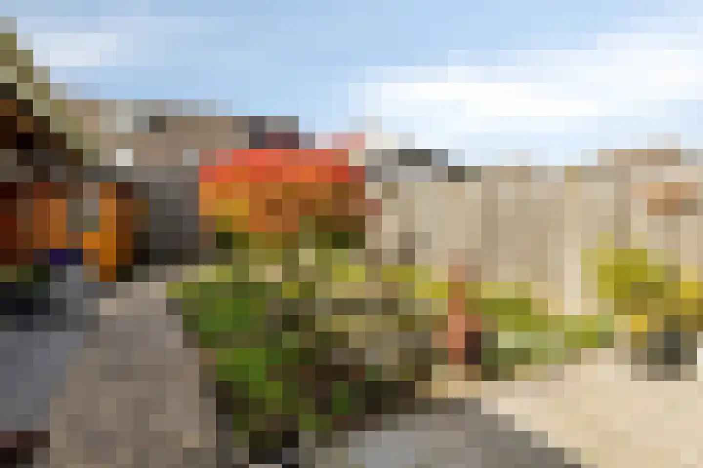 Kwartier 14 Steenbergen thumbnail 42