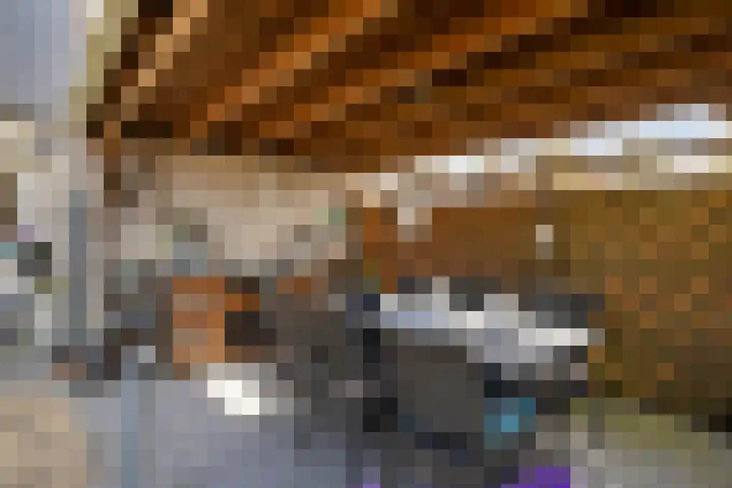Kwartier 14 Steenbergen thumbnail 46