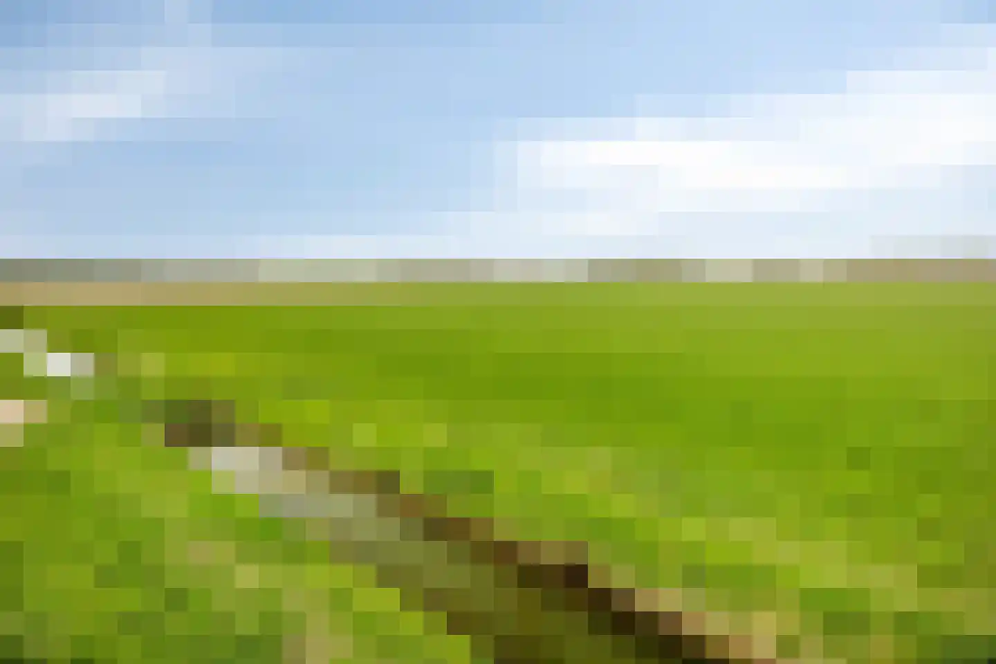 Kwartier 14 Steenbergen thumbnail 53