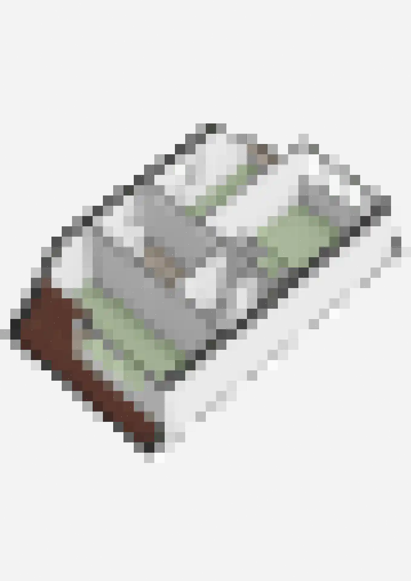 Kwartier 14 Steenbergen thumbnail 61