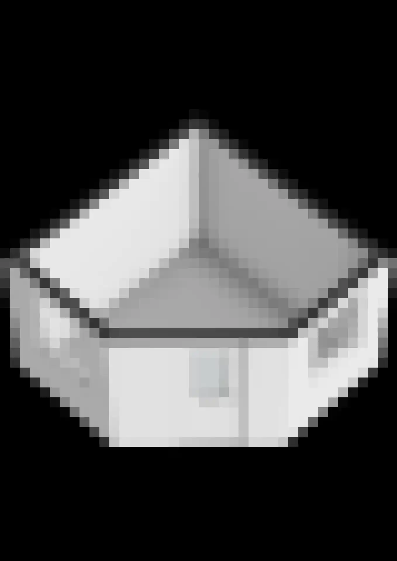 Kwartier 14 Steenbergen thumbnail 63