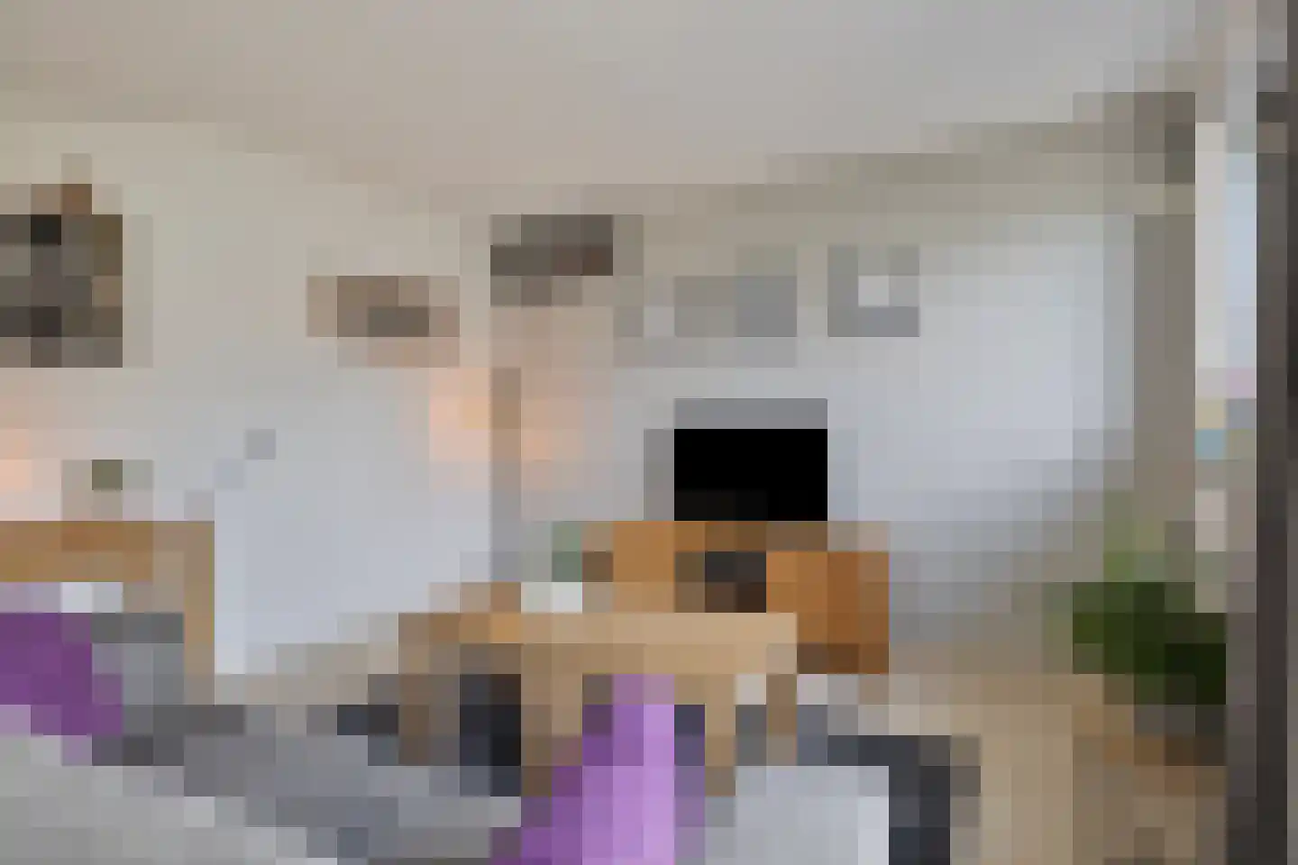 Kwartier 14 Steenbergen thumbnail 9