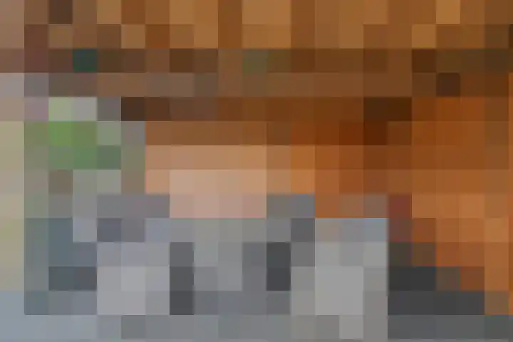 Kwartier 68 Steenbergen thumbnail 34
