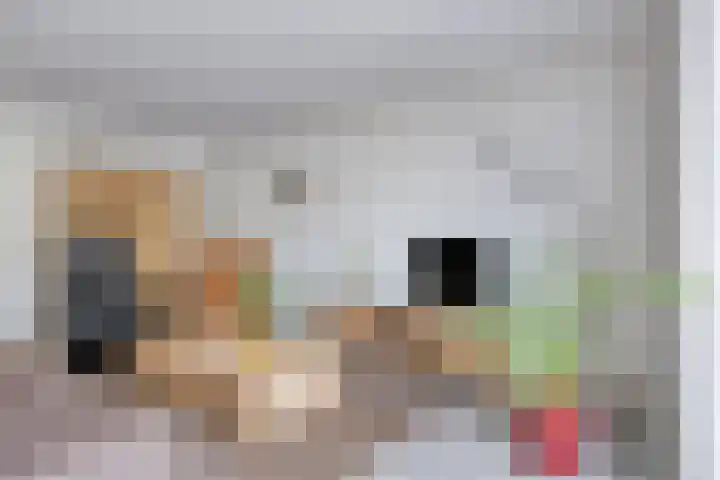 Kwartierlaan 29 Riel thumbnail 16