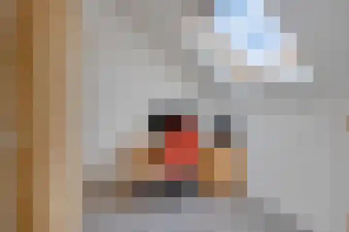 Kwartierlaan 29 Riel thumbnail 32