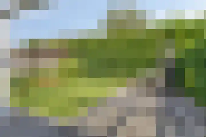 Kwartierlaan 29 Riel thumbnail 33