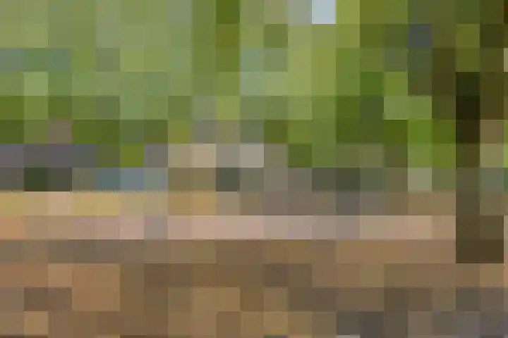 Kwartierlaan 29 Riel thumbnail 36