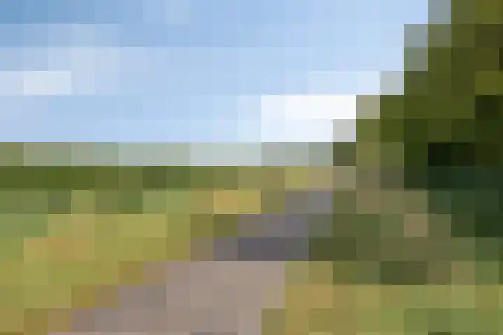Kwartierlaan 29 Riel thumbnail 37