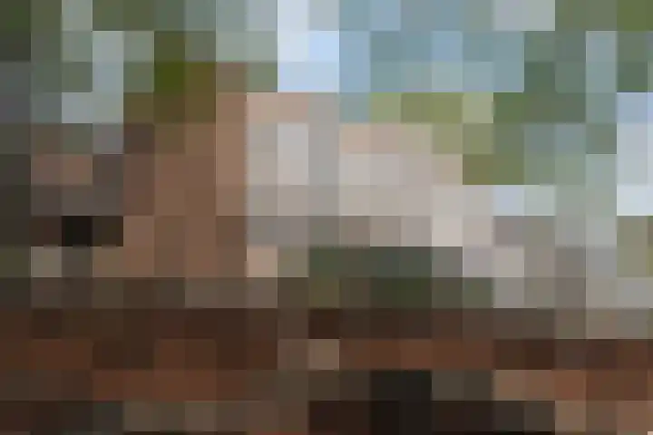Kwartierlaan 29 Riel thumbnail 41