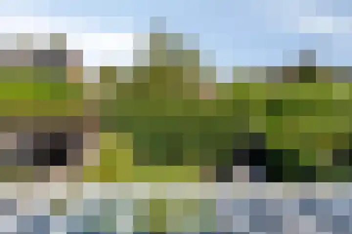 Kwartierlaan 29 Riel thumbnail 7