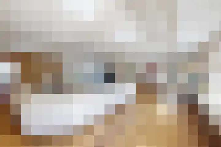 Kwartiersedijk 12 b Fijnaart thumbnail 12