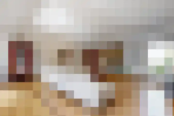 Kwartiersedijk 12 b Fijnaart thumbnail 13