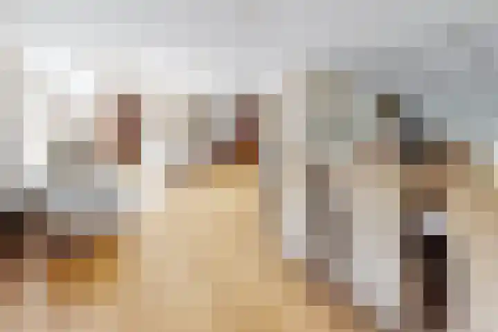 Kwartiersedijk 12 b Fijnaart thumbnail 15