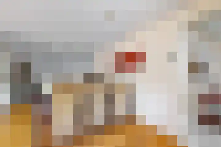 Kwartiersedijk 12 b Fijnaart thumbnail 17
