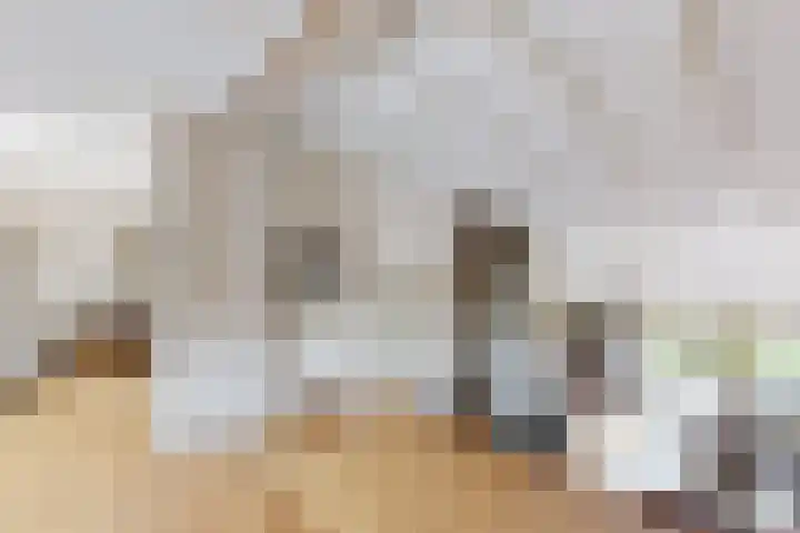 Kwartiersedijk 12 b Fijnaart thumbnail 20