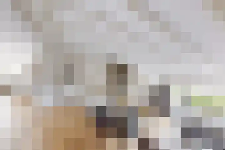 Kwartiersedijk 12 b Fijnaart thumbnail 21