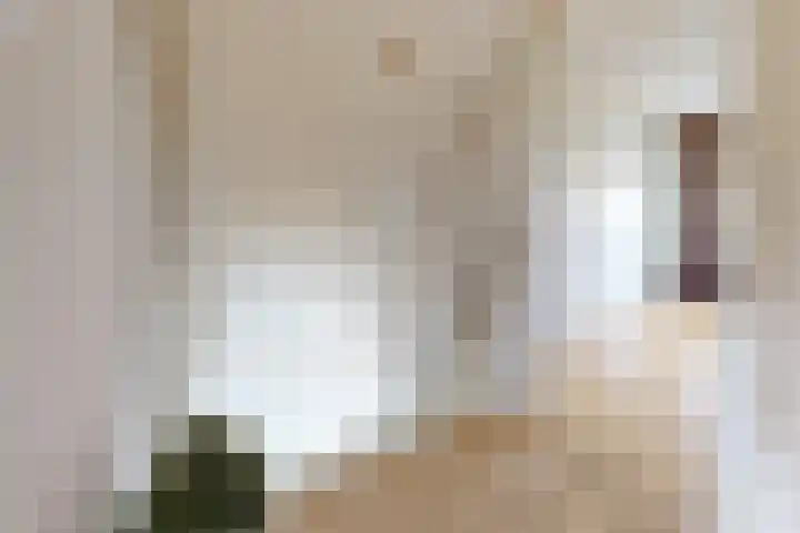 Kwartiersedijk 12 b Fijnaart thumbnail 37