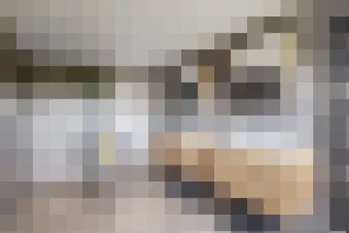 Kwartiersedijk 12 b Fijnaart thumbnail 4