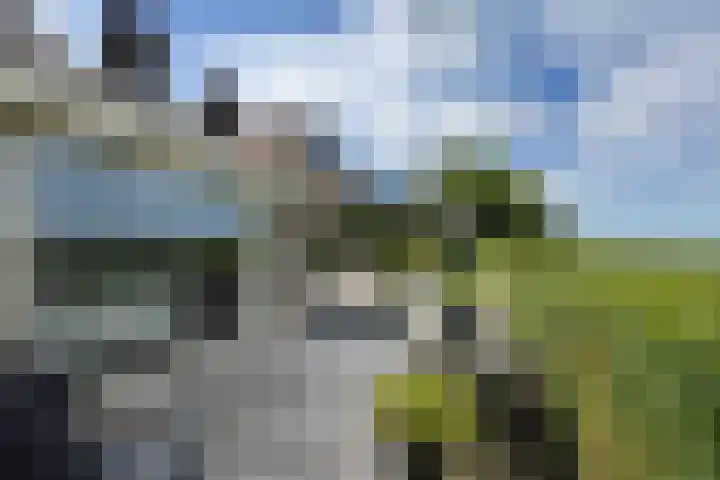 Kwartiersedijk 12 b Fijnaart thumbnail 46