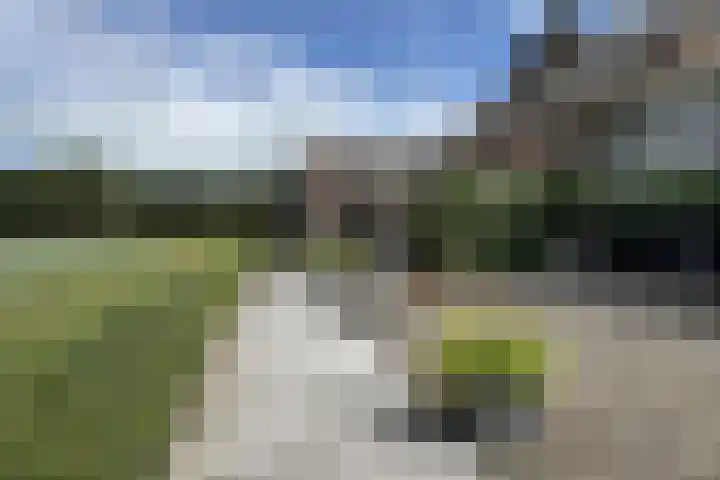 Kwartiersedijk 12 b Fijnaart thumbnail 51
