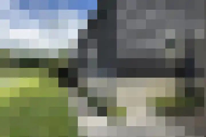 Kwartiersedijk 12 b Fijnaart thumbnail 53