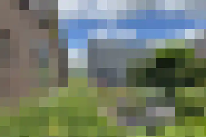 Kwartiersedijk 12 b Fijnaart thumbnail 58