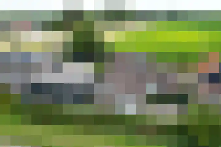 Kwartiersedijk 12 b Fijnaart thumbnail 72