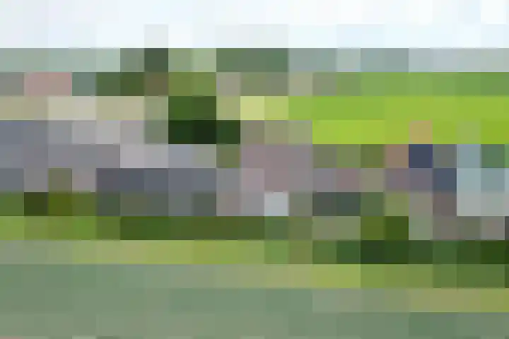 Kwartiersedijk 12 b Fijnaart thumbnail 73