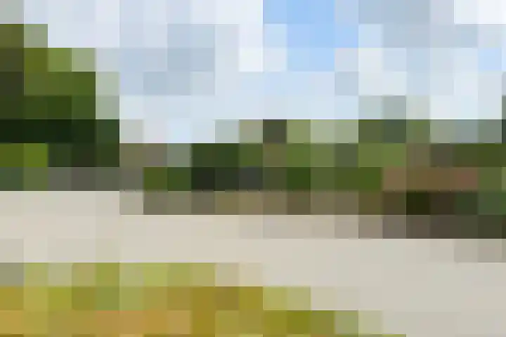 Kwartiersedijk 12 b Fijnaart thumbnail 75