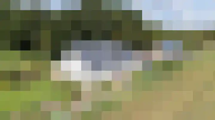 Kwartiersedijk 36 Babberich thumbnail 10
