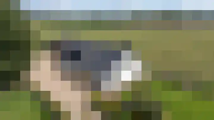Kwartiersedijk 36 Babberich thumbnail 11
