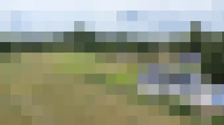 Kwartiersedijk 36 Babberich thumbnail 12