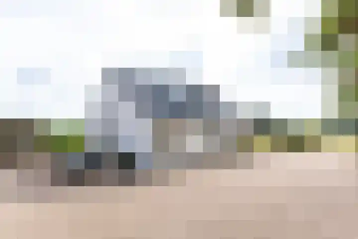 Kwartiersedijk 36 Babberich thumbnail 17