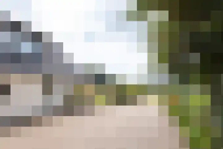 Kwartiersedijk 36 Babberich thumbnail 18